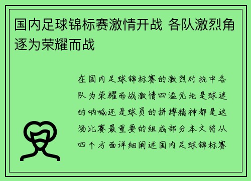 国内足球锦标赛激情开战 各队激烈角逐为荣耀而战