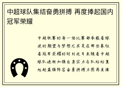 中超球队集结奋勇拼搏 再度捧起国内冠军荣耀