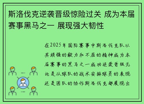 斯洛伐克逆袭晋级惊险过关 成为本届赛事黑马之一 展现强大韧性